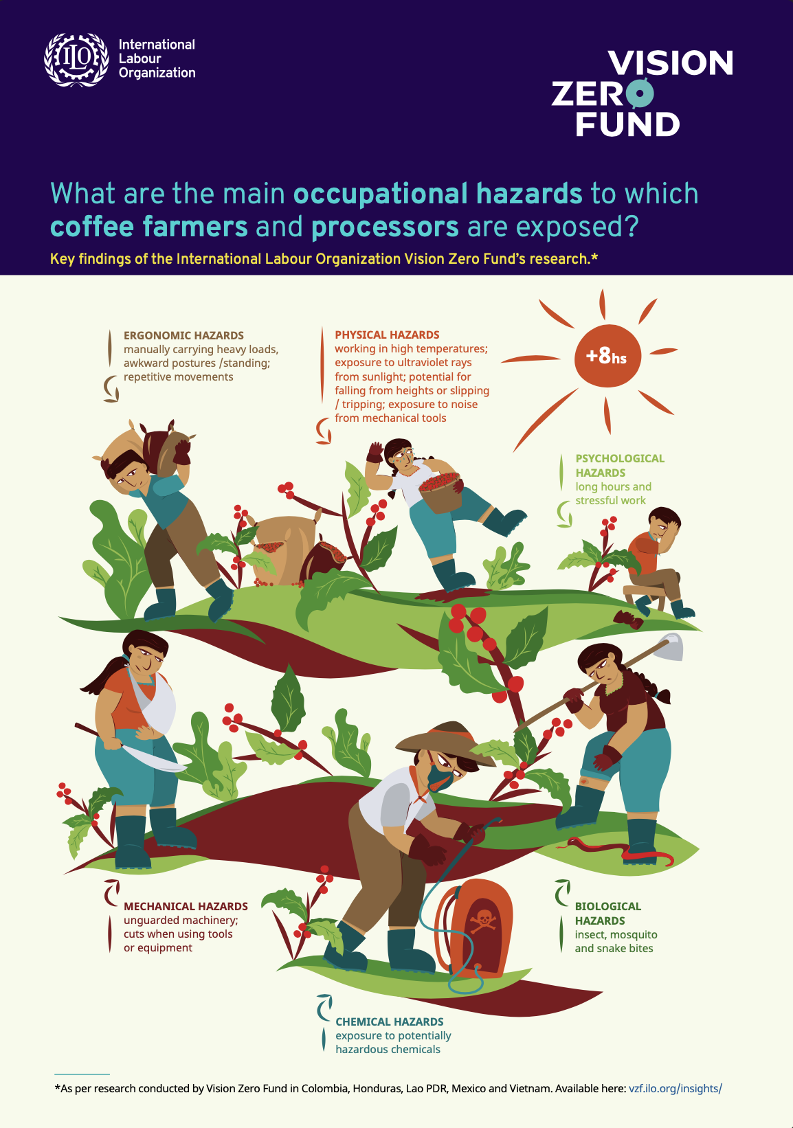 Main occupational hazards for coffee farmers and processors Vision
